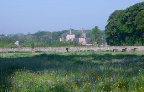 Mielmont – Le parc de Mielmont 6